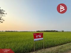 ขายที่ดิน เนื้อที่ 2 ไร่ 41 ตร.วา คุ้งตะเภา อุตรดิตถ์-202503231545241742719524661.jpg