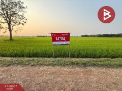 ขายที่ดิน เนื้อที่ 2 ไร่ 41 ตร.วา คุ้งตะเภา อุตรดิตถ์-202503231545251742719525335.jpg