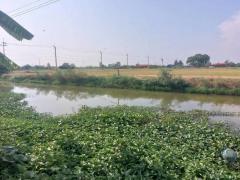 ขายที่ดิน 158 ตร.ว. บางเสาธง สมุทรปราการ-202503240947371742784457996.jpg