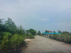 ขายที่ดิน 158 ตร.ว. บางเสาธง สมุทรปราการ-202503240947391742784459320.jpg