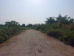 ขายที่ดิน 158 ตร.ว. บางเสาธง สมุทรปราการ-202503240947391742784459965.jpg