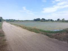 ขายที่ดิน 398 ตร.ว. พุทธมณฑล นครปฐม