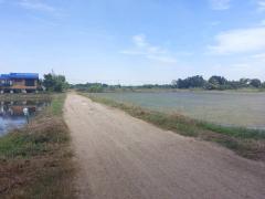 ขายที่ดิน 398 ตร.ว. พุทธมณฑล นครปฐม-202503241017571742786277217.jpg