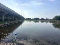 ขายที่ดิน 398 ตร.ว. พุทธมณฑล นครปฐม-202503241017581742786278246.jpg