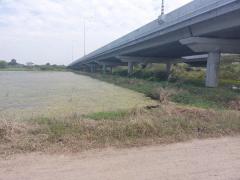 ขายที่ดิน 398 ตร.ว. พุทธมณฑล นครปฐม-202503241017581742786278848.jpg