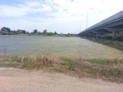 ขายที่ดิน 398 ตร.ว. พุทธมณฑล นครปฐม-202503241017591742786279461.jpg