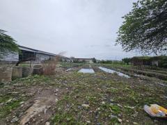 ขาย ที่ดิน ซอยบางแค 4 ขนาด 4 ไร่ 1 งาน 57 ตร.วา ใกล้ถ.กาญจนาภิเษกแค่ 1.5 กม.-202503241337091742798229527.jpg
