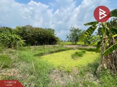 ขายที่ดิน-เนื้อที่-2-งาน-พุทธมณฑล-นคร