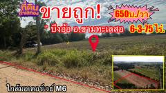  ขายถูก (จำเป็นต้องขาย) ที่ดินขามทะเลสอ บ้านบึงอ้อ✅ ศักยภาพยอดเยี่ยม ราคาดี๊ดี 