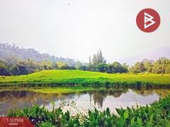 ขายที่ดินเปล่า เนื้อที่ 33 ไร่ 1 งาน 45 ตร.วา สอยดาว จันทบุรี-202503251056061742874966662.jpg