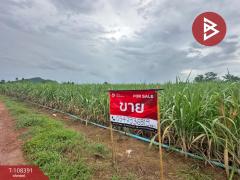 ขายที่ดิน เนื้อที่ 3 ไร่ ด่านมะขามเตี้ย กาญจนบุรี-202503251211451742879505047.jpg