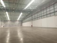 ให้เช่าโกดัง คลังสินค้า โรงงาน ถนนบางนา กม 19 บางพลี เทพารักษ์ บางบ่อ พื้นที่ขนาด 2,600 ตารางเมตร-202503251232121742880732446.jpg