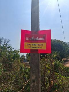 ขายที่ดิน 20 ไร่ เจ้าของขายเอง อำเภอกุฉินารายณ์ จังหวัดกาฬสินธุ์-202503251251571742881917092.jpg