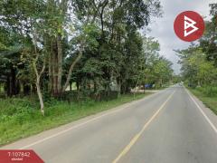 ขายที่ดิน เนื้อที่ 46 ไร่ 1 งาน 89 ตร.วา บ่อไร่ ตราด-202503251358081742885888470.jpg