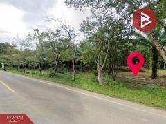 ขายที่ดิน เนื้อที่ 46 ไร่ 1 งาน 89 ตร.วา บ่อไร่ ตราด-202503251358101742885890403.jpg