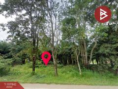 ขายที่ดิน เนื้อที่ 46 ไร่ 1 งาน 89 ตร.วา บ่อไร่ ตราด-202503251358131742885893632.jpg