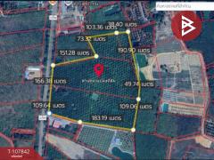 ขายที่ดิน เนื้อที่ 46 ไร่ 1 งาน 89 ตร.วา บ่อไร่ ตราด-202503251358141742885894936.jpg