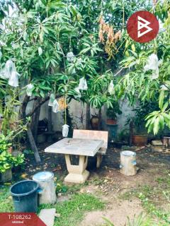 ขายบ้านเดี่ยวชั้นเดียว เนื้อที่ 85 ตร.วา ประโคนชัย บุรีรัมย์-202503251500321742889632066.jpg