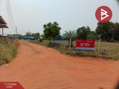 ขายที่ดินเปล่าด่วน-เนื้อที่-1-ไร่-พุ