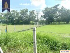 ขาย ที่ดินเปล่า ซอย ไอยรา 28 เหมาะสร้างบ้าน คลองสอง คลองหลวง ปทุมธานี-202503251515251742890525039.jpg