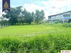ขาย ที่ดินเปล่า ซอย ไอยรา 28 เหมาะสร้างบ้าน คลองสอง คลองหลวง ปทุมธานี-202503251515251742890525740.jpg