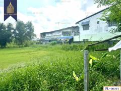 ขาย ที่ดินเปล่า ซอย ไอยรา 28 เหมาะสร้างบ้าน คลองสอง คลองหลวง ปทุมธานี-202503251515261742890526443.jpg