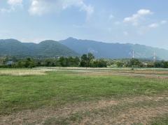 ขายที่ดินเขาใหญ่อยู่ในโครงการบัลโคนี่เขาใหญ่ ปากช่อง วิวเขาล้อมรอบ  ใกล้เซเว่น เพียง 1 กม.-202503251534211742891661602.jpg
