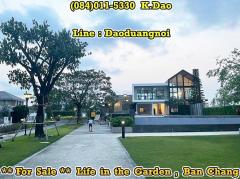 #Life in the garden, Ban Chang *** House for Sale ***-202503261316301742969790800.jpg