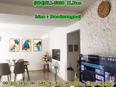 #Life in the garden, Ban Chang *** House for Sale ***-202503261316341742969794599.jpg