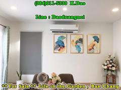 #Life in the garden, Ban Chang *** House for Sale ***-202503261316351742969795232.jpg