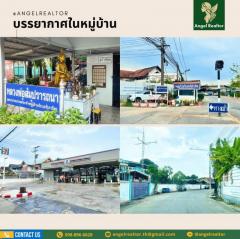หมู่บ้านวังทอง ริเวอร์ปาร์ค ซอยพหลโยธิน 70 ตำบลคูคต ลำลูกกา บ้านเดี่ยว 102 ตารางวา ใกล้เซียร์รังสิต ตลาดสี่มุมเมือง-202503261647031742982423914.jpg