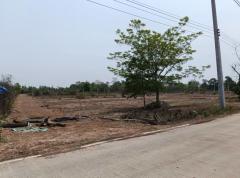 ขายที่ดิน  แบ่งแปลงเนื้อที่ 150 ตรว. อ.เมือง จ.หนองคาย-202503261744231742985863325.jpg