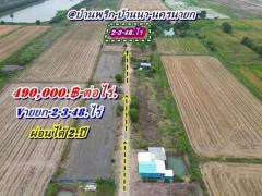 ที่ดินบ้านนาSาคาถูกมาก -สดได้-ผ่อนได้ ( ผ่อนได้ 2 ปี.ฟรีดอก / มี 2.แปลง ) T.062-1574449-202503261908001742990880409.jpg