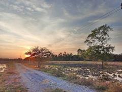 ที่ดินบ้านนาSาคาถูกมาก -สดได้-ผ่อนได้ ( ผ่อนได้ 2 ปี.ฟรีดอก / มี 2.แปลง ) T.062-1574449-202503261908051742990885095.jpg