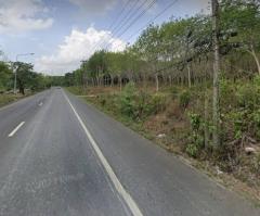 ขายที่ดินระยอง ใกล้แยกกะเฉด ที่ดินอยู่ติดถนนสุขุมวิท เป็นถนน4เลน มีที่ดิน 2 แปลงติดกันเนื้อที่ 34-69 ไร่ ใกล้แยกที่เลี้ยวไปสวนพฤกษศาสตร์ระยอง