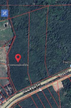 ขายที่ดินระยอง ใกล้แยกกะเฉด ที่ดินอยู่ติดถนนสุขุมวิท เป็นถนน4เลน มีที่ดิน 2 แปลงติดกันเนื้อที่ 34-69 ไร่ ใกล้แยกที่เลี้ยวไปสวนพฤกษศาสตร์ระยอง-202503262038561742996336840.jpg