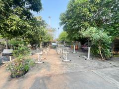 ขายบ้านเดี่ยว 145 ตรว. หมู่บ้านมิตรประชา  บางใหญ่ซิตี้  ถนน กาญจนาภิเษก รถไฟฟ้าสายสีม่วง บางไผ่-202503270901591743040919741.jpg