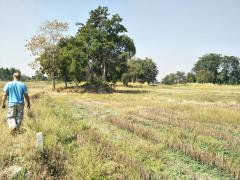 ขายที่ดินพร้อมบ้านสวน 15-1-11 ไร่ บรรยากาศร่มรื่น อากาศบริสุทธิ์ ทำเลดี วิวสวย หันคา ชัยนาท-202503271049251743047365712.jpg