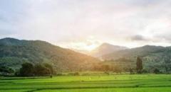 ขายที่ดินวิวเขาสวยที่สุด......ใกล้ถนนลาดยางชุมชนตรงข้ามมีร้านของชำและตลาดตอนเย็น-202503271807411743073661820.jpg