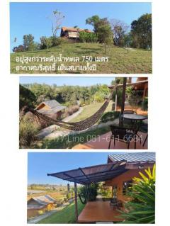 ถูกกว่าราคาตลาด 60%  ที่ดินเขาค้อ 27 ไร่  มีใบอนุญาตโรงแรม Land for sale Khao Kho-202503272236471743089807209.jpg