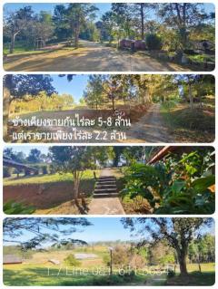 ถูกกว่าราคาตลาด 60%  ที่ดินเขาค้อ 27 ไร่  มีใบอนุญาตโรงแรม Land for sale Khao Kho-202503272236471743089807811.jpg