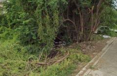 ขายด่วน!! ที่ดินเปล่า 140 ตร.ว. ถนนสุขาภิบาล 5 ซอย 5 แยก 13-202503281008491743131329840.jpg