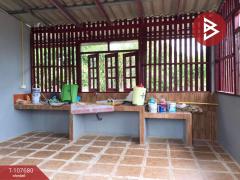 ขายบ้านเดี่ยวพร้อมที่ดิน เนื้อที่ 1 ไร่ 35 ตร.วา แม่จัน เชียงราย-202503281201521743138112541.jpg