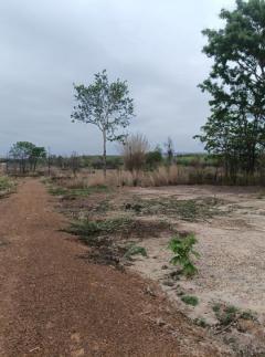 ขายที่ดิน เนื้อที่ 23 ไร่ ติดทางหินคลุกในเมืองหนองบัวลำภู -202503281641271743154887208.jpg
