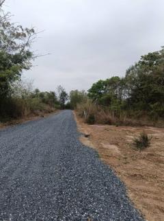 ขายที่ดิน เนื้อที่ 23 ไร่ ติดทางหินคลุกในเมืองหนองบัวลำภู -202503281641291743154889030.jpg