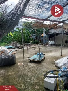 ขายบ้านเดี่ยว 2 ชั้น ซ.เทศบาลบางปู45 เนื้อที่ 53 ตร.วา ท้ายบ้าน สมุทรปราการ-202503301116541743308214704.jpg