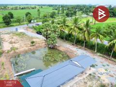 ขายบ้านเดี่ยวพร้อมสวนผลไม้ เนื้อที่ 8 ไร่ 66 ตร.วา สามชุก สุพรรณบุรี-202503301235391743312939871.jpg