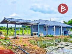 ขายบ้านเดี่ยวพร้อมสวนผลไม้ เนื้อที่ 8 ไร่ 66 ตร.วา สามชุก สุพรรณบุรี-202503301235411743312941790.jpg