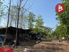 ขายที่ดินเปล่า เนื้อที่ 30 ไร่ 3 งาน 86 ตร.วา หล่มสัก เพชรบูรณ์-202503301237311743313051928.jpg