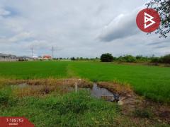 ขายที่ดินเปล่า เนื้อที่ 1 ไร่ 2 งาน 3 ตร.วา ดอนตะโก ราชบุรี-202503301559021743325142149.jpg